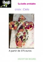 /album/galerie-de-photos-deuil/la-belle-orchidee-4-jpg/